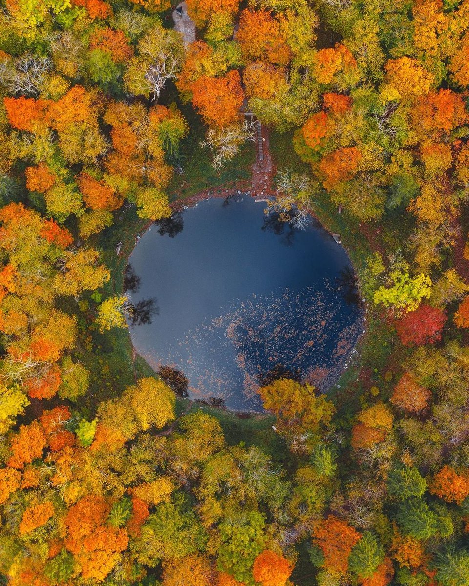 visitestonia's tweet photo. Estonia holds the record for its density of meteorite craters. Among the autumn leaves, places like Kaali crater have a certain magic about them.

📍 @saaremaa
📸 evolumina

#VisitEstonia #AutumnFalls #Meteorite https://t.co/JLwcTBAaiy