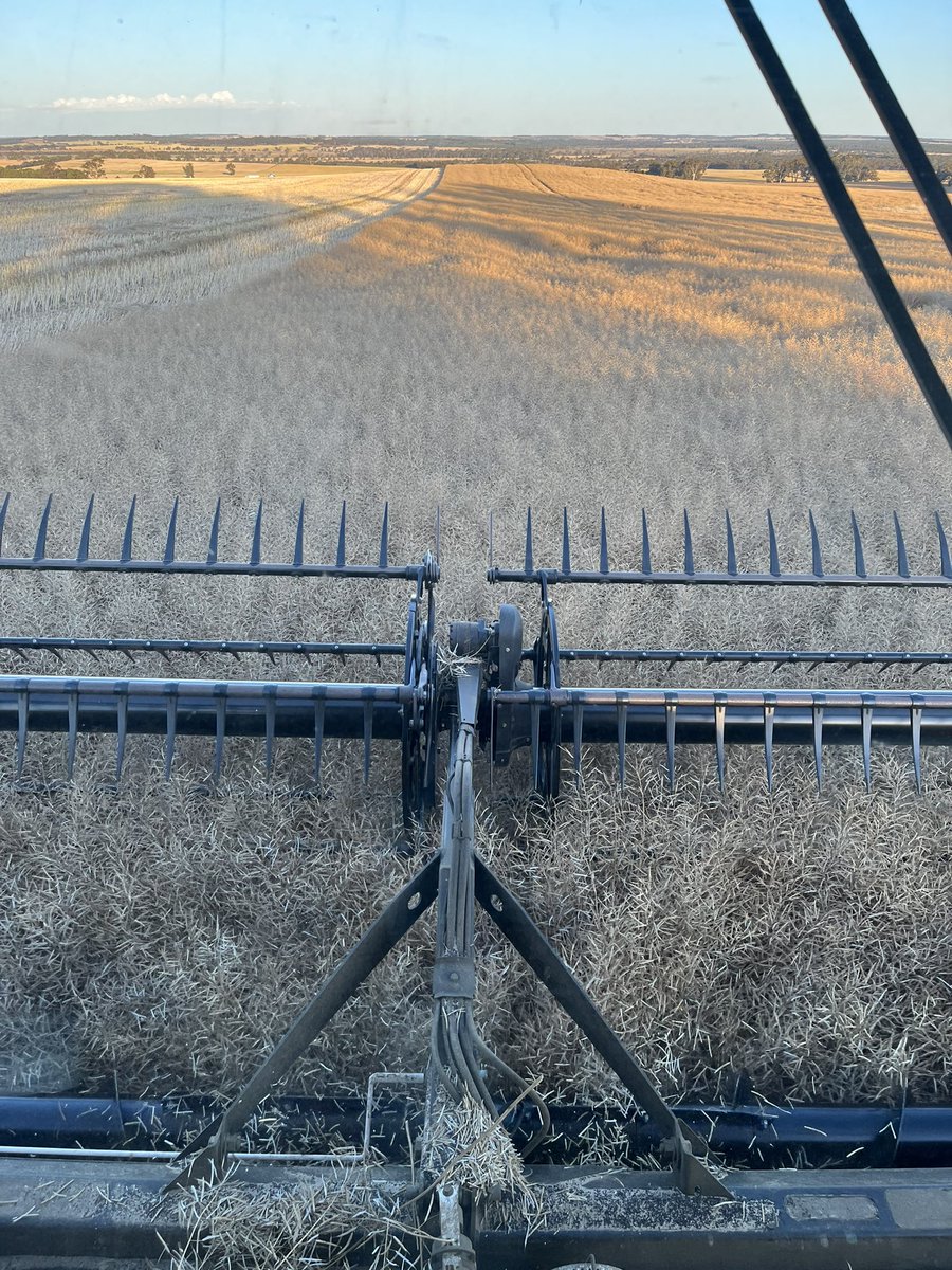 Darren Wilson tweet media