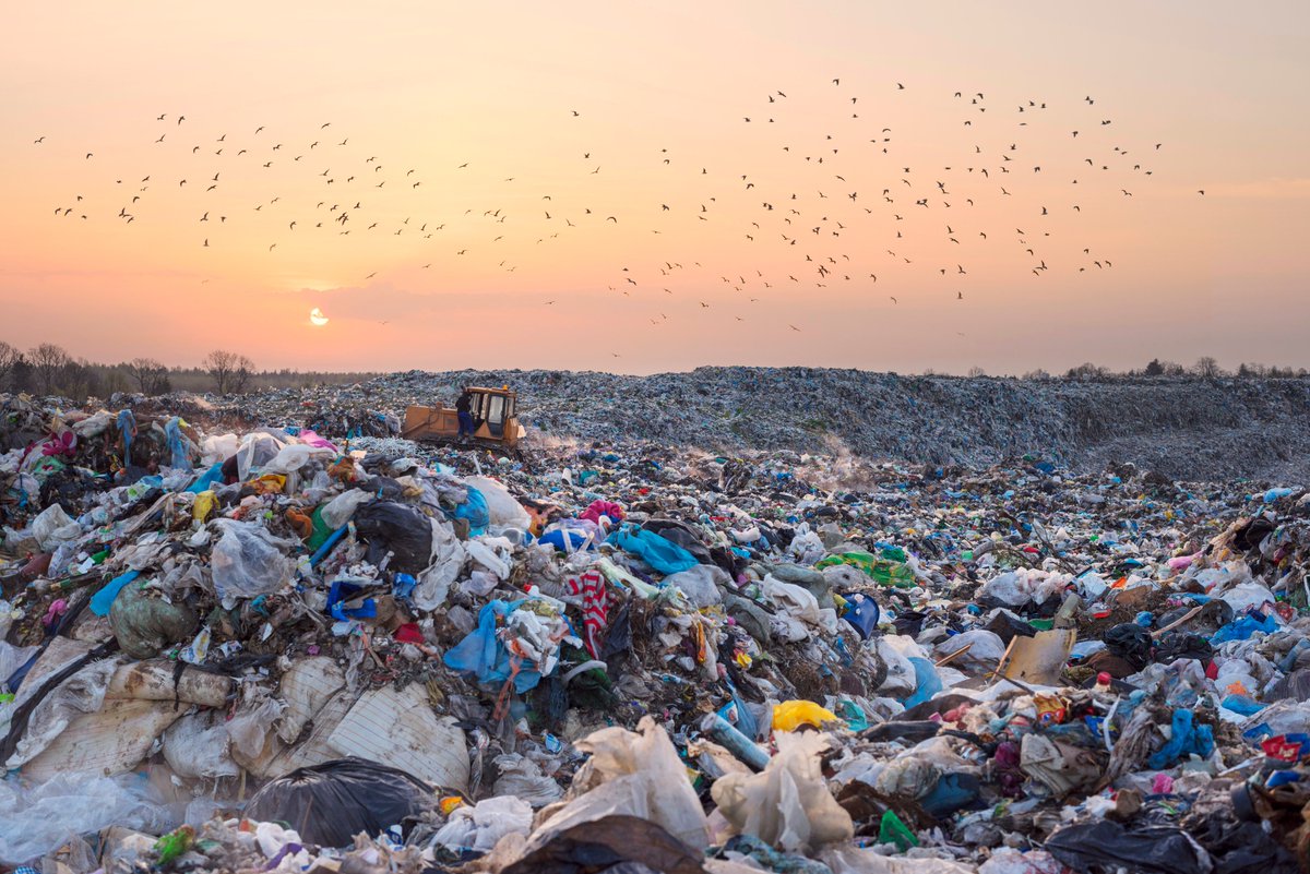 UoPPlastics's tweet photo. We're proud to launch our Global Plastics Policy Centre today @COP26 in Glasgow by @DrSFletcher
The globally-relevant knowledge platform will interrogate policy options for tackling the #plastics crisis
#COP26 #COPUniversities #RevolutionPlastics
https://t.co/Dxhkqb1b5v https://t.co/QgXsVvqqg2