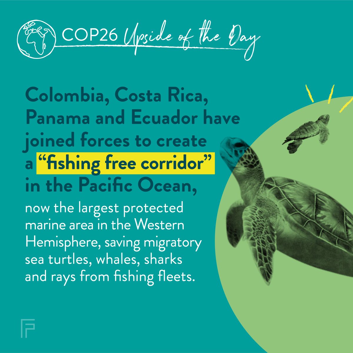 Good news for ocean life 🐢🐳🐠 #MarineLife #fishing #oceans #marineecosystems @FortitudeNow