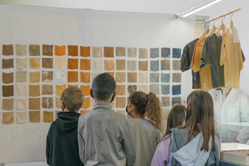 X_vier Dom_guez tweet media