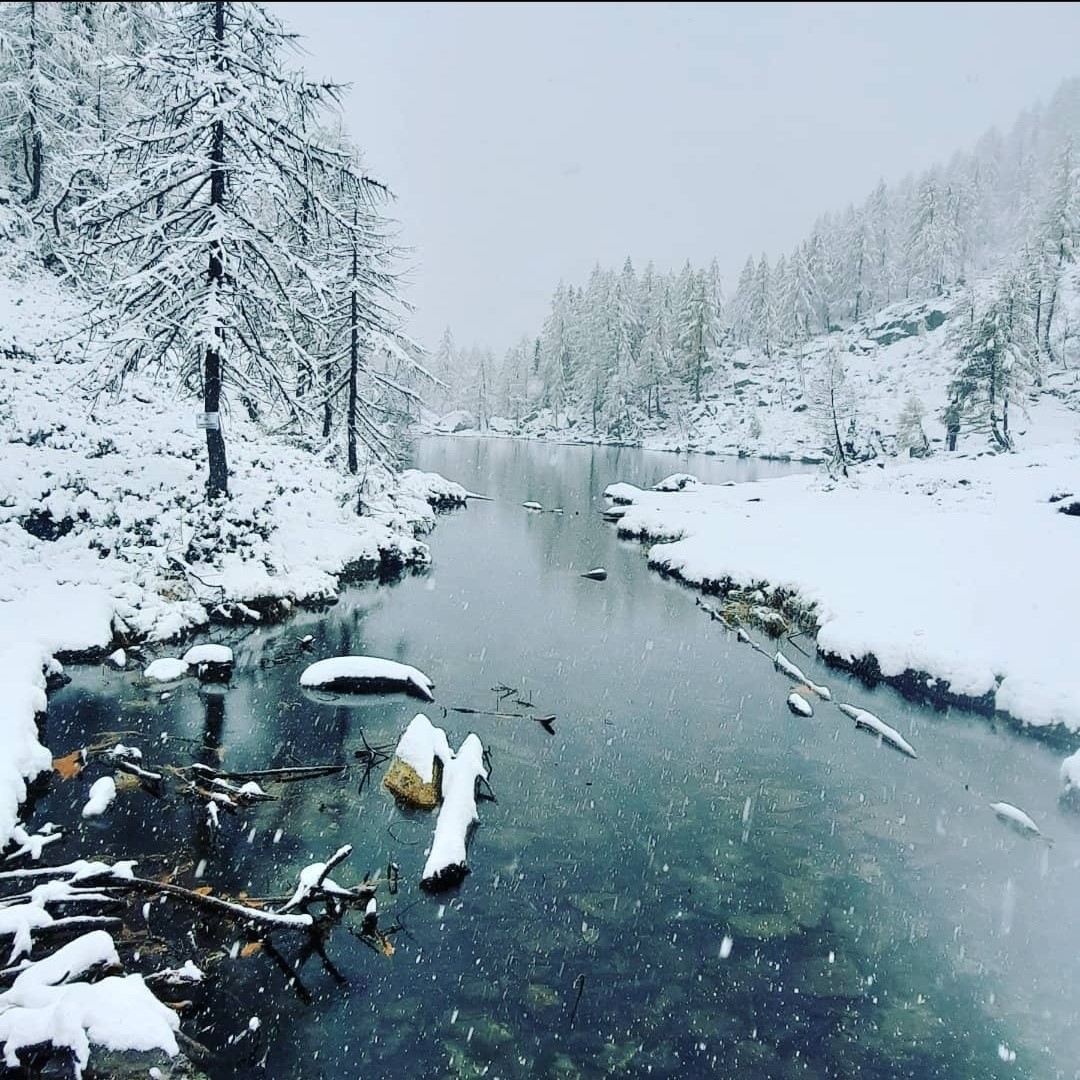 meteo60's tweet photo. Très belles ambiance neigeuses ce matin sur le Val #Devero dans le Nord de l'#Italie après des chutes les chutes de #neige importantes de ces derniers jours dès la moyenne altitude. Première vraie offensive hivernale de la saison sur ce secteur.
Via Centro Meteo Piemonte https://t.co/DO2HGMsVqY