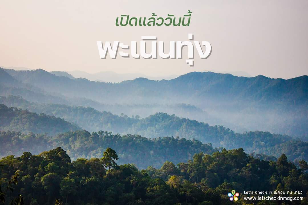 letscheckin's tweet photo. พะเนินทุ่งเปิดแล้ว https://t.co/wmfF028NCu