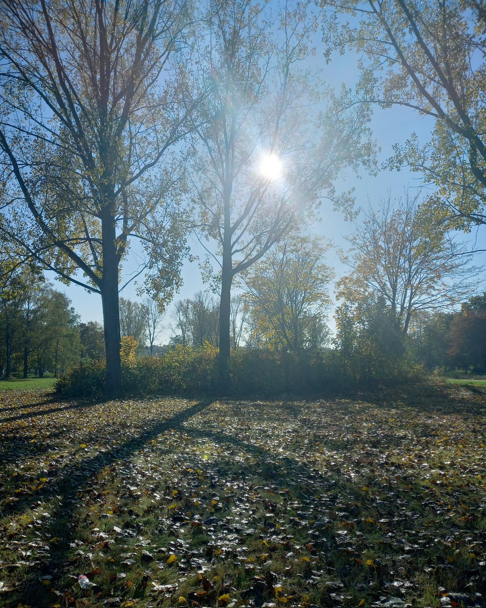 LocalByAny's tweet image. Stunning view ! Sunny #autumn . A paradise for a  creative generalist ! 
Are you looking for inspiration or a quiet place to practice Creative Solitude? This is for you !
Are you  a creative culturally curious traveler? #traditions #localbyany #creativity #culture 
#mylocalstory