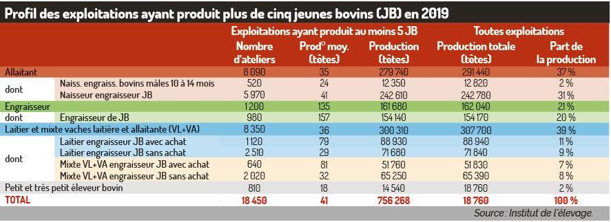 Les disponibilités en jeunes bovins s'érodent dlvr.it/SBsNxt