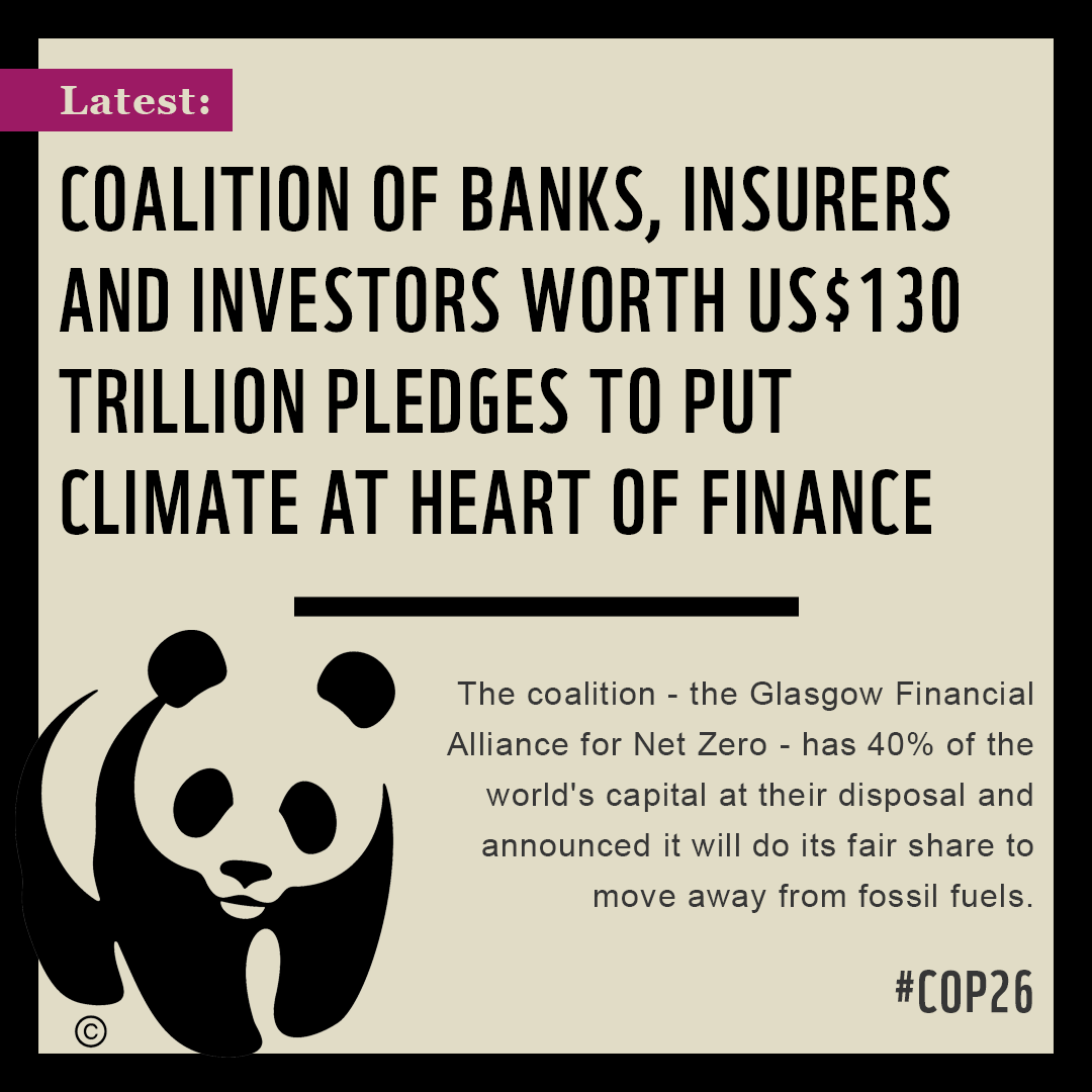 #COP26: A coalition worth $130 trillion made a pledge to put climate at the heart of finance and deliver the estimated $100 trillion needed for #NetZero over the next 3 decades.

This is BIG - if they keep their promise. We MUST invest in the future we not only want, but need.