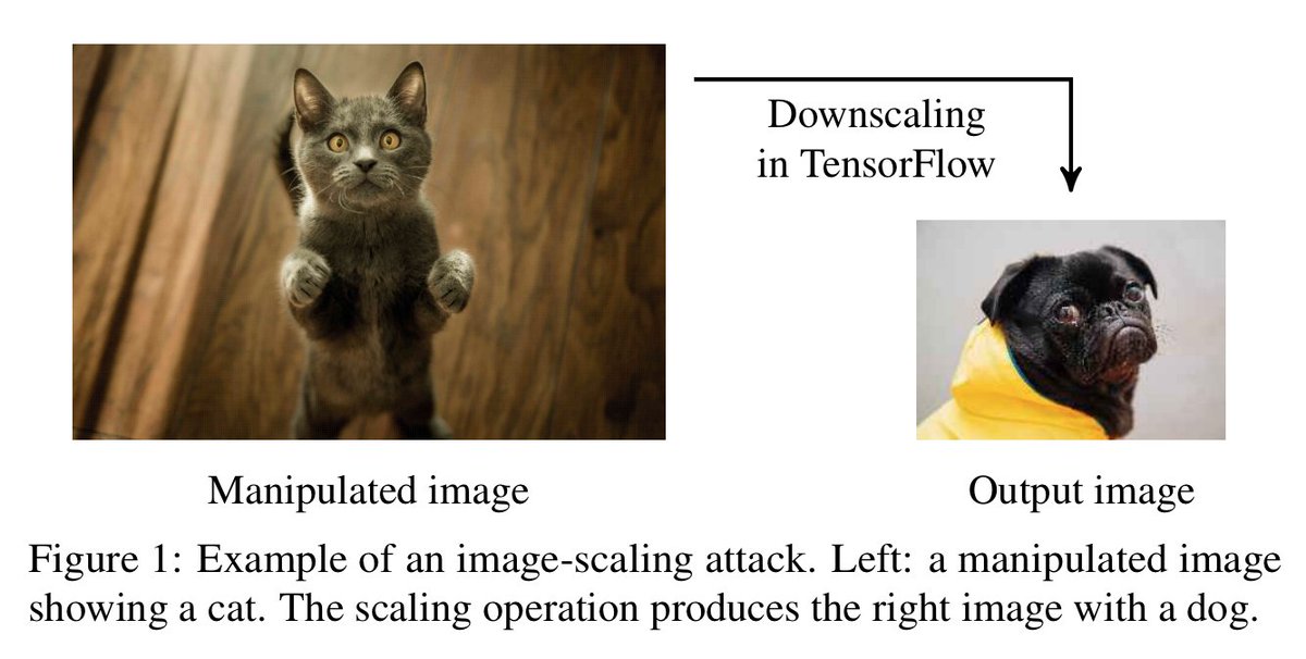 image-scaling attacks are wild

small dots added to the image on the left turns it into the image on the right when downscaled

could make auditing ML systems very tricky if you only look at the original images...