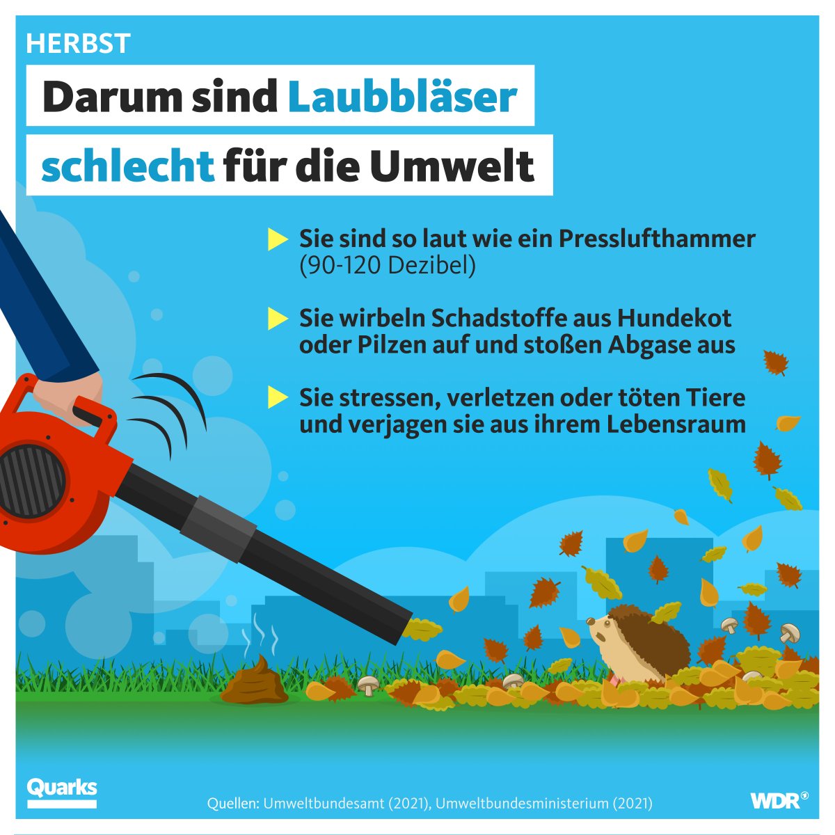 Samstagmorgen erstmal schön die drei Blätter vor der Haustür mit dem Laubbläser wegpusten ...