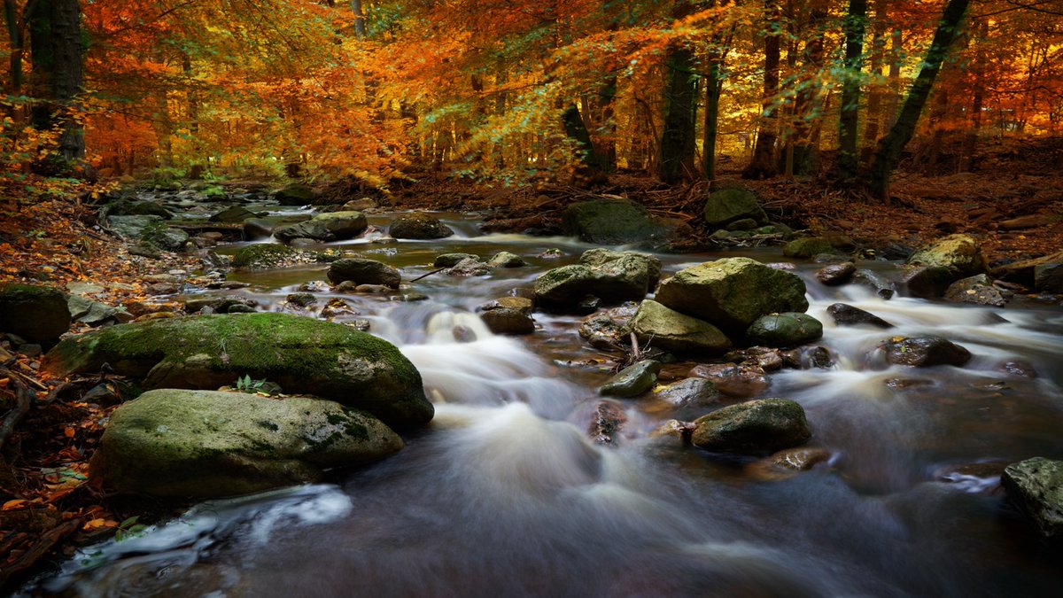 Affinity_Jack's tweet photo. I had a nice day with my friends and my camera in #Harz #Ilsetal at the wild creek Ilse 🍂
#AffinityPhoto #madeinaffinity #affinitybyserif https://t.co/7zgkBeGlmE