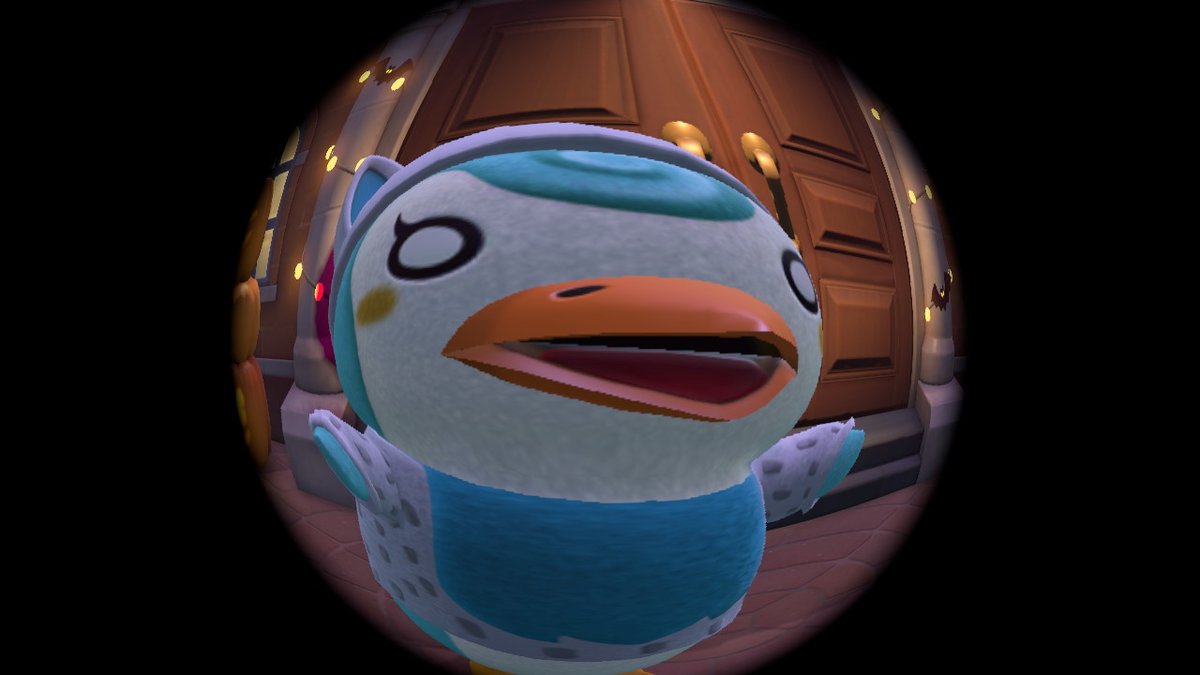 CryptidSeth's tweet photo. Ah yes the lovely kittie and sprinkle lol
@Midnighttx 

#AnimalCrossing #ACNH #NintendoSwitch https://t.co/yZSBxHNyM4