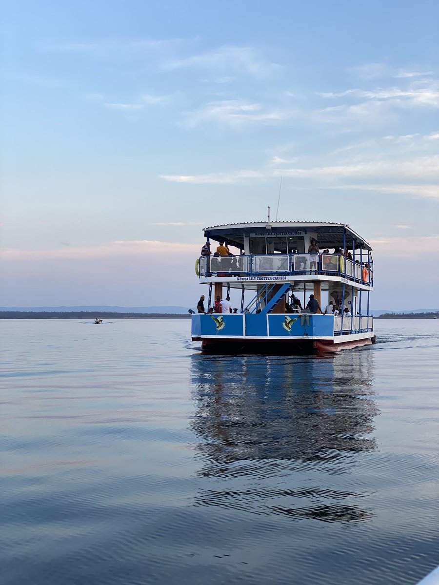 Trips By Pamushana tweet media
