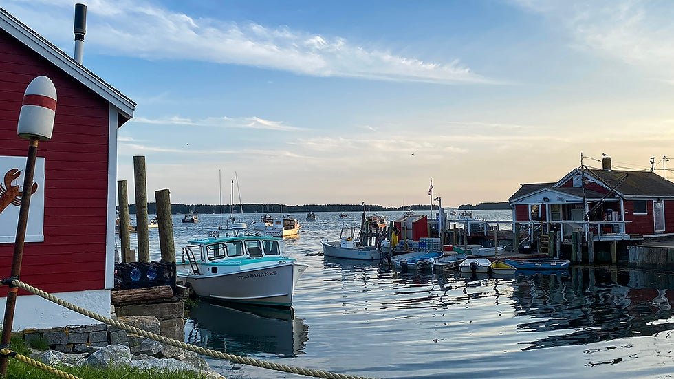 Maine voters pass first "right to food" amendment in US hill.cm/UM1cq3c