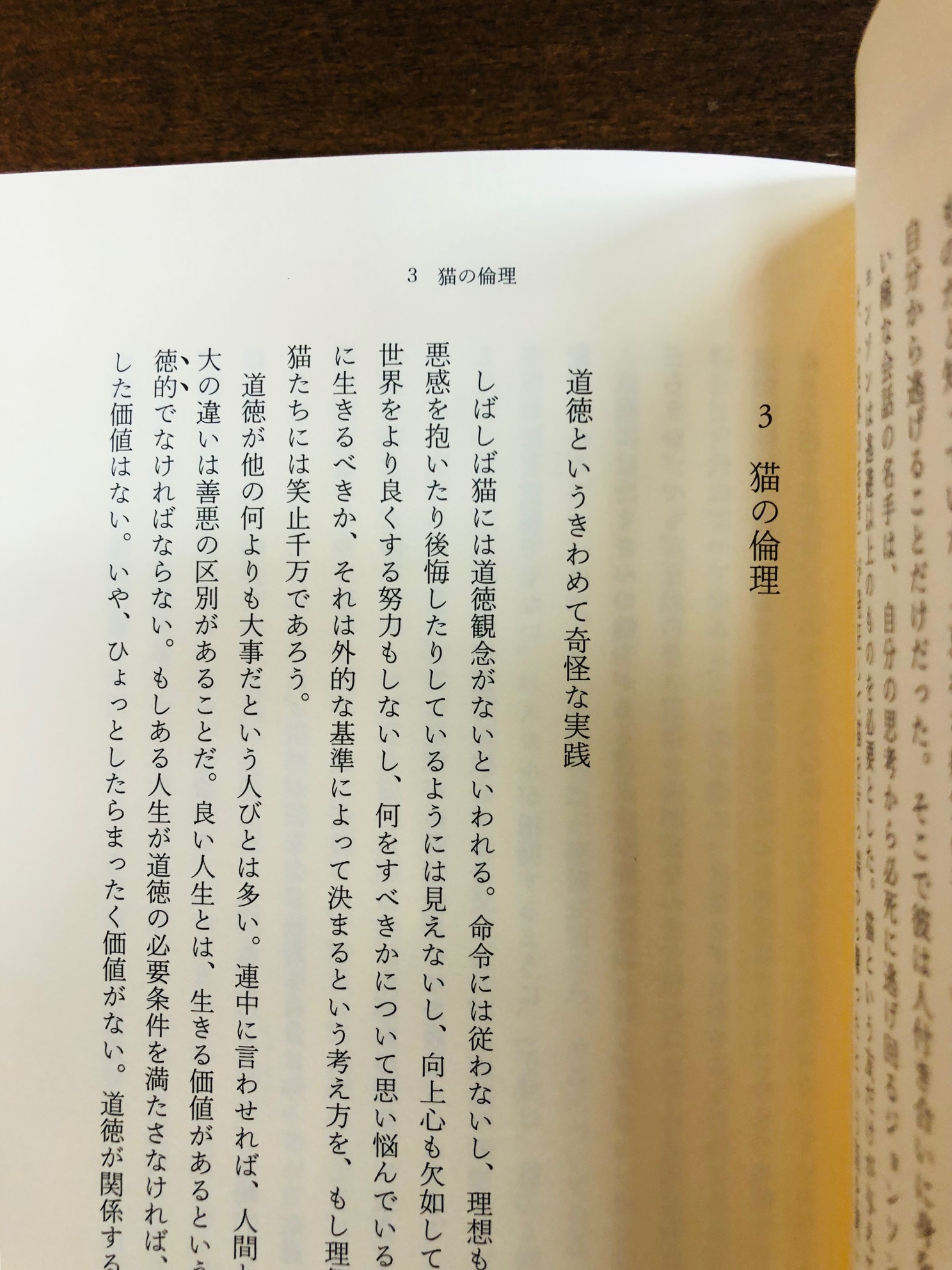 Title タイトル 猫に関するエッセイは数多あるが こうした筆致 切り口の ものを求めていた 知的で思慮深く そして何より読みやすい 人の 生 を照らす猫 その自由な魂と 何も求めない生きかた うろうろと 散歩のような思索である ジョン