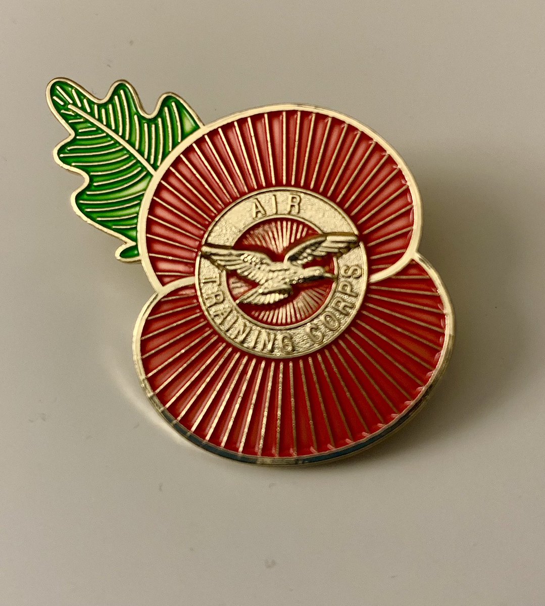 Wg Cdr Lou Hall tweet media