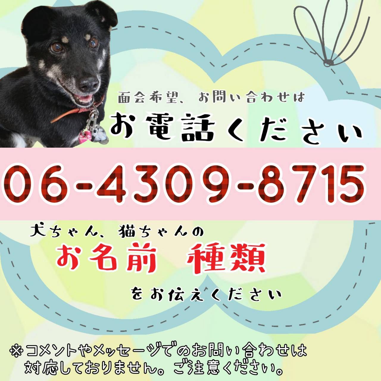 ふれあいカフェ Twitter Search Twitter