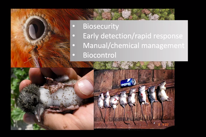 Tanndisol's tweet photo. Hawaiʻi hosts one-third of the #endangeredspecies in the U.S. and the HI @dlnr DOFAW's mission is to protect our watersheds and native #ecosystems  with an interdisciplinary approach. #NREMseminar
 https://t.co/r0DUNdkcXM https://t.co/4JIw0E6JLz