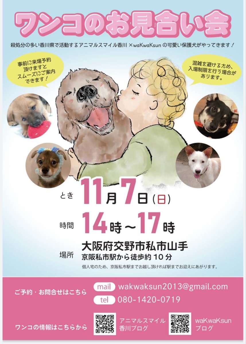 wak__wak__sun's tweet photo. 🪧お知らせ

今週7日(日)は大阪で譲渡会

予約優先ですが、無しでもOK🙆🏻‍♀️
個人宅なので住所は非公開ですが
駅でお電話、メールくださればお迎え・ご案内もいたします🐾

#wakwaksun
#大阪譲渡会
#RT拡散希望 https://t.co/JKPoOrgEZQ