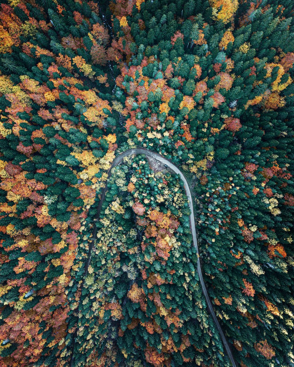 VB_Photography's tweet photo. If you look closely you will see my car parked by the road.The door is open,I'm somewhere next to her,My hands are frozen because it's quite cold in the mountains,especially in the shade,but I keep shooting.I can't get in the car because my drone is losing signal. It was worth it https://t.co/p6L5qgdJyF