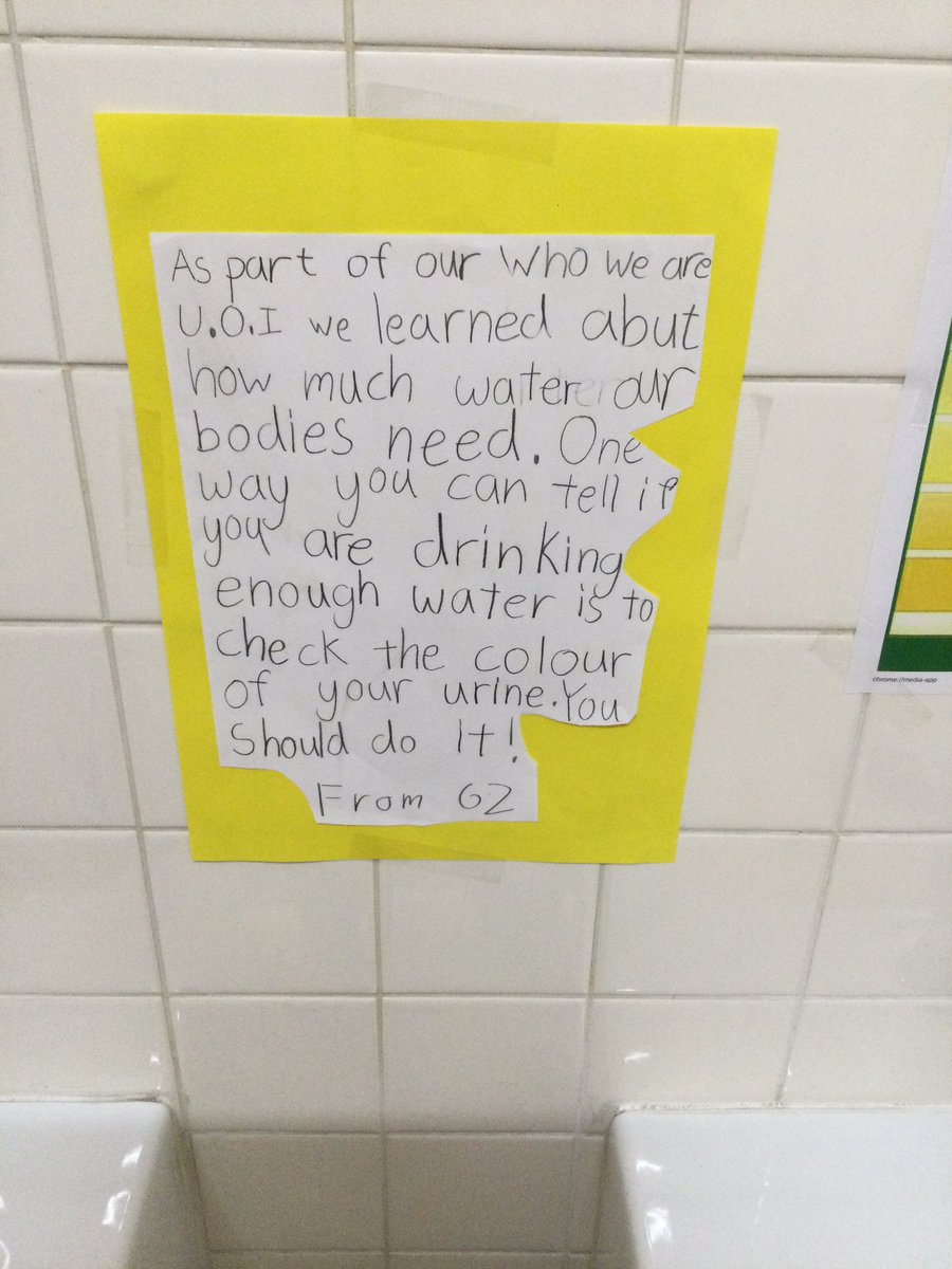 KellieOxlade's tweet photo. When #takingaction extends to the bathroom! Part of our #Whoweare #UOI inquiring into our physical needs within Maslow’s hierarchy of needs and how our choices can affect our wellbeing. #stayhydrated #pypchat #learningatkis @KyotoIntlSchool https://t.co/Qf9bTp3hWl