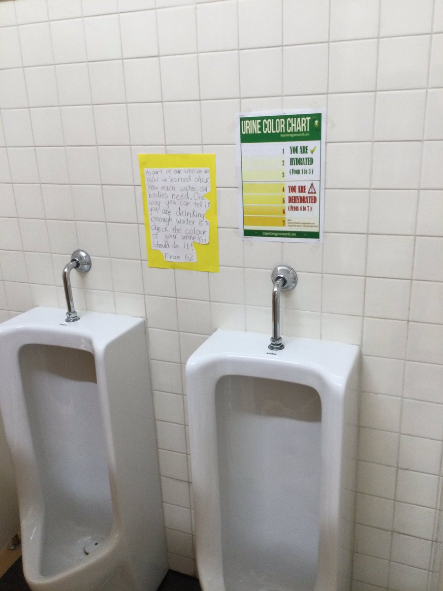 KellieOxlade's tweet photo. When #takingaction extends to the bathroom! Part of our #Whoweare #UOI inquiring into our physical needs within Maslow’s hierarchy of needs and how our choices can affect our wellbeing. #stayhydrated #pypchat #learningatkis @KyotoIntlSchool https://t.co/Qf9bTp3hWl