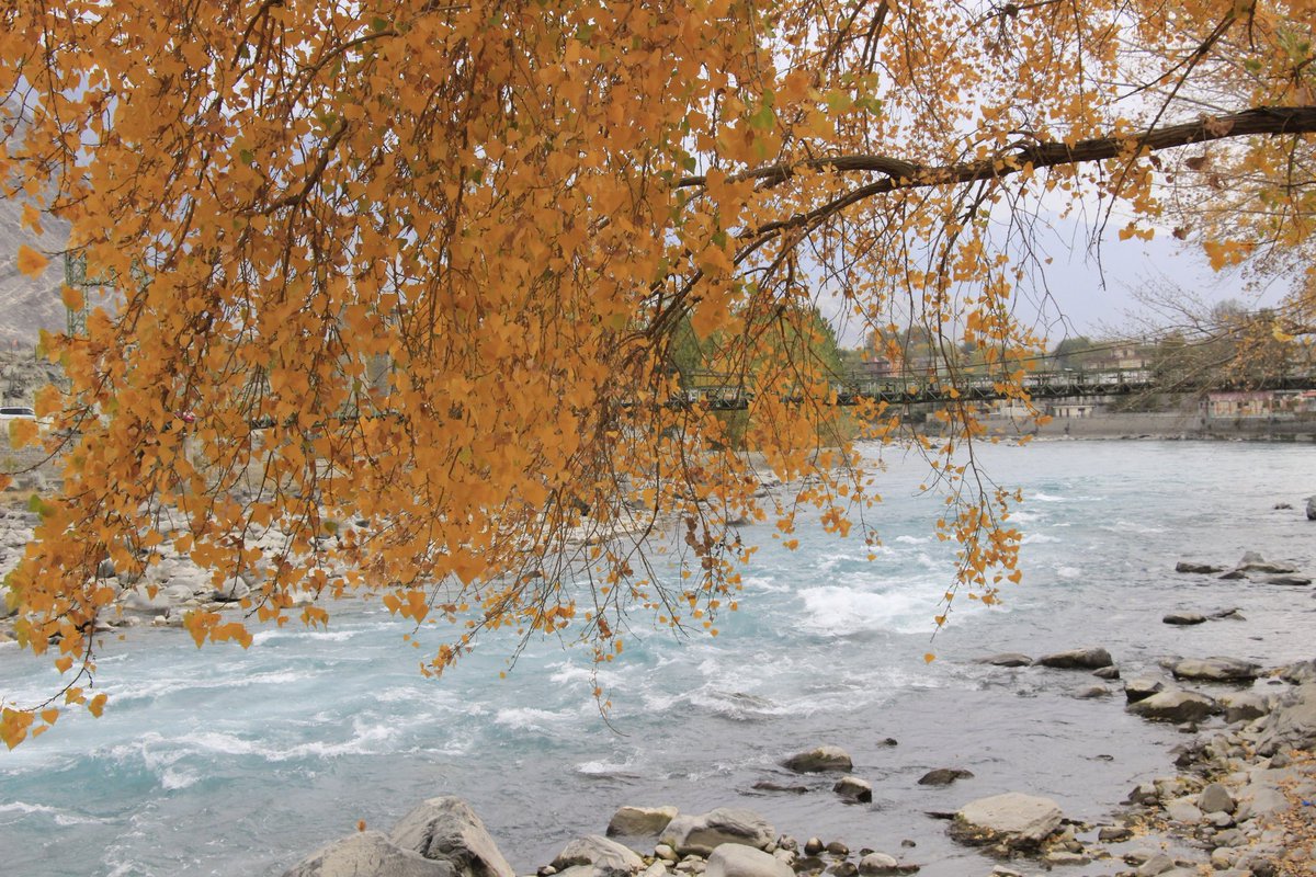 Mondigital3's tweet photo. #AutumnFalls #gilgitriver #twinsbridge
#chanirbagh
#gilgit https://t.co/tTEu3bbSTC