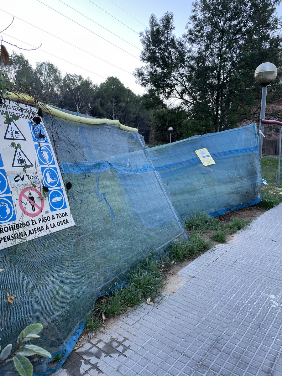 Maika Rodrigo Lleó tweet media