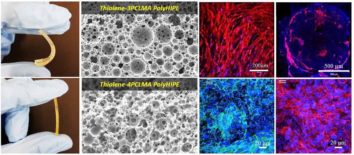 BaldemirLab's tweet photo. My pleasure to share our latest article published on #Biomacromolecules !
It is real teamwork!

Many thanks to each and every member of this great team!

Please enjoy reading it!

https://t.co/5Q6TjBQwJ7 https://t.co/D3YWQHHOUS