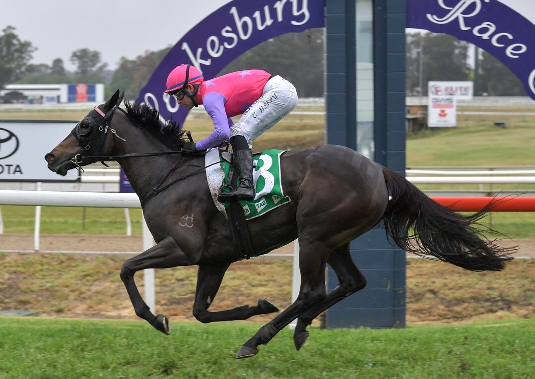 kimwaugh6's tweet photo. Terrific result for a great bunch of owners with Buba winning at just her 2nd start for the stable @hawkesburyrc today, lovely, confident ride from @TommyBerry21 in the heavy conditions! #welldoneteam 👍👌 https://t.co/s6vofLJxfy