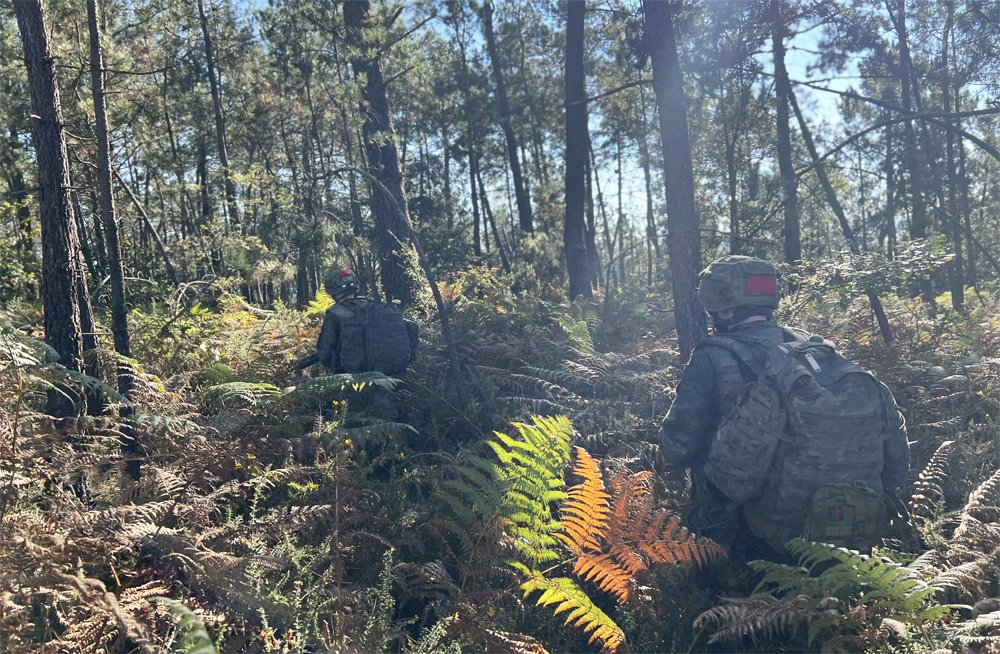 Ministerio Defensa tweet media