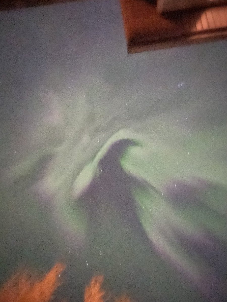 Live right now, from my backyard. So beautiful! #NorthernLights #AuroraBorealis #Aurora #yyc #calgary #alberta #canada