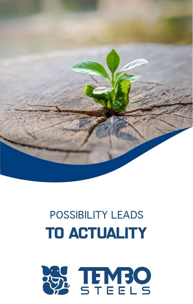 Possibility leads to actuality.
#Tembosteels