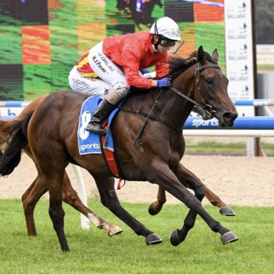 Maluka Thoroughbreds tweet media