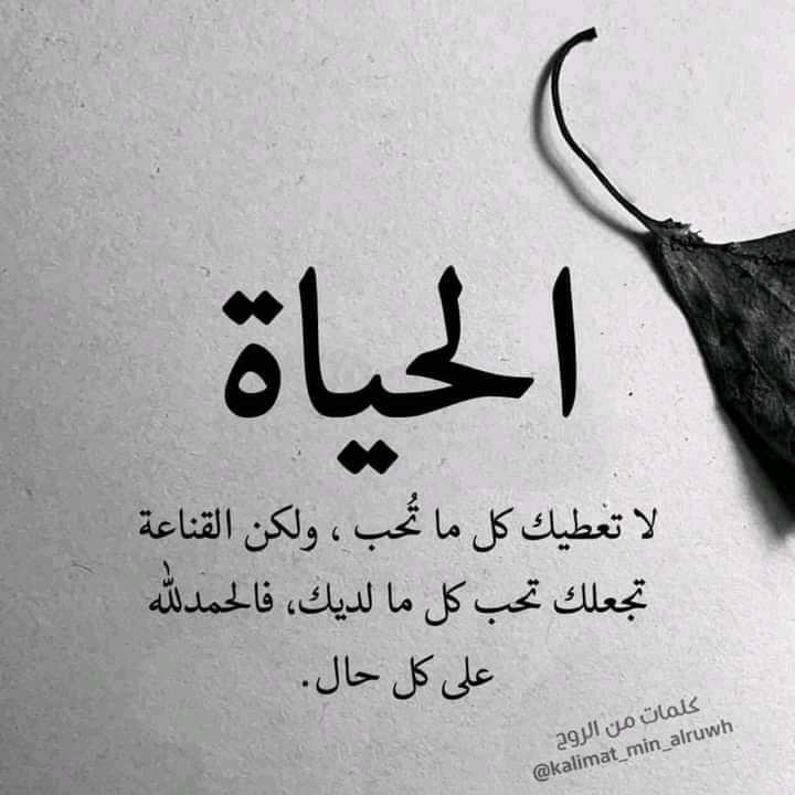 MursalOmar13's tweet image. &quot;noloshu kuma siiso wax aad jeceshahay oo dhan,lkn qanaacadu waxay Kaa yeeshaa mid jecel dhamaan waxa agtada ahaadey&quot;,
#Alxamdullilah xaal oo dhan.
@MursalOmar13