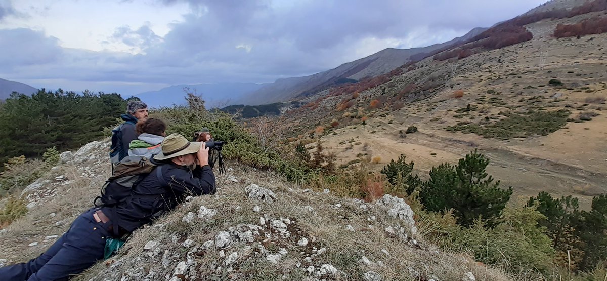 KentWildlife's tweet photo. Yesterday after some early wildlife watching which inc incredible sights of golden eagle and red deer we discussed the importance of clear and upfront communication in rewilding, that its all about how these rewilded landscapes can work for everyone. #ERNevent #letsrewildtogether https://t.co/FKa9lfvs36
