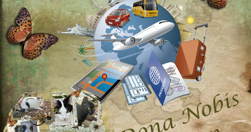 AlasandraATCAD's tweet image. Thankful Thursday &amp;amp; #Blog4Peace dlvr.it/SBsbwq