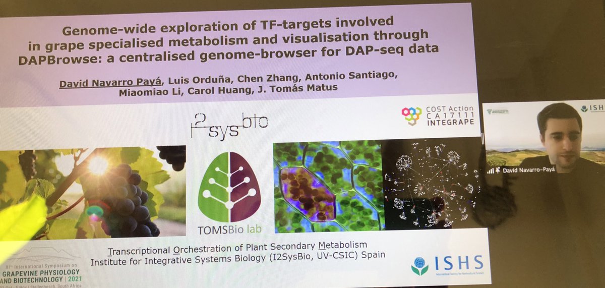 Very nicely done <a href="/david_np91/">David Navarro</a> 👏🏼<a href="/ISGPB20213/">ISGPB2021</a> #tomsbiolab