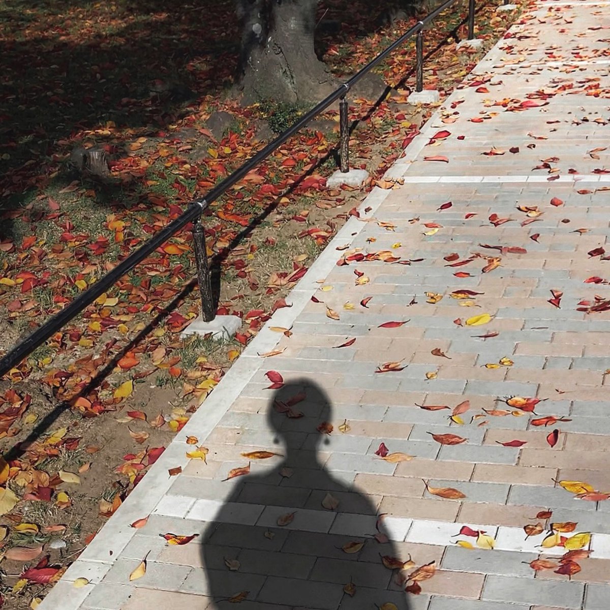 _an_ism's tweet photo. Autumn, 
the season when 
I want to meet people I can't meet

🍂  会えない人に 会いたくなる季節 https://t.co/vTVs3gYgY2