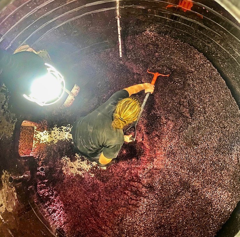 Dernier écoulage au Château Siran !
Final run-off at Chateau Siran 🍇

#chateausiran #margaux #médoc #grandscrus #vin #redwine #bordeaux #wine #écoulage