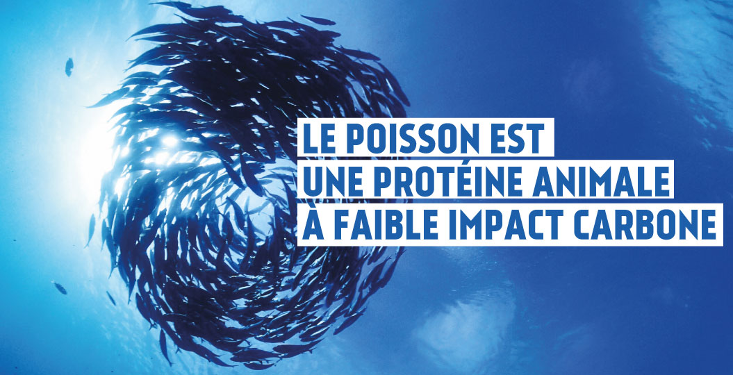MSC Pêche Durable tweet media