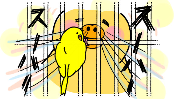 鳥好き Twitter Search Twitter