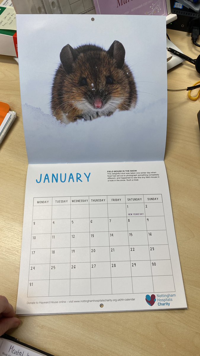 HaywardHouseNUH's tweet photo. We are currently selling calendars in memory of our special friend and colleague Noel. Noel was a keen photographer in his spare time and the calendar is made up of a selection of Noel’s wildlife photos he had taken all proceeds will go towards Hayward house Calendars are £10 https://t.co/AnbhdJ9f1D