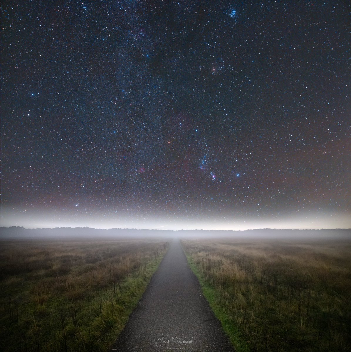 DNachtfotograaf's tweet photo. Orion is terug in de vroege nacht...
#orion #ster #sterren #astronomie #nachtfoto #barnardsloop #rosettenebula #orionnevel https://t.co/94dRVehuHv