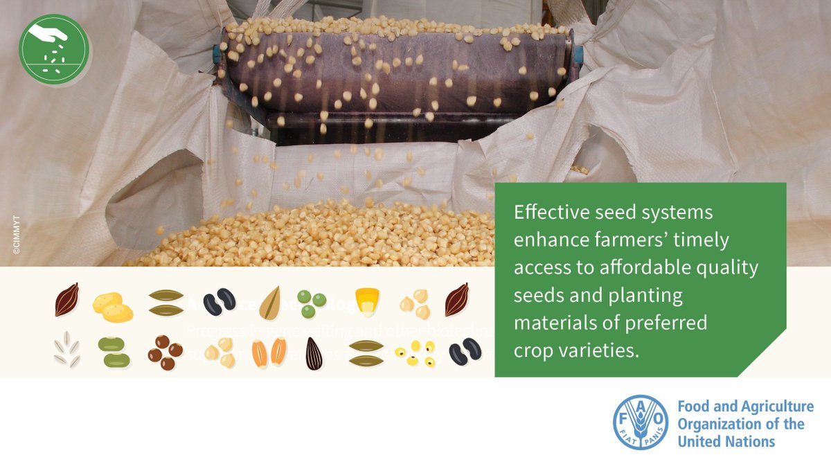 The Crop Trust tweet media