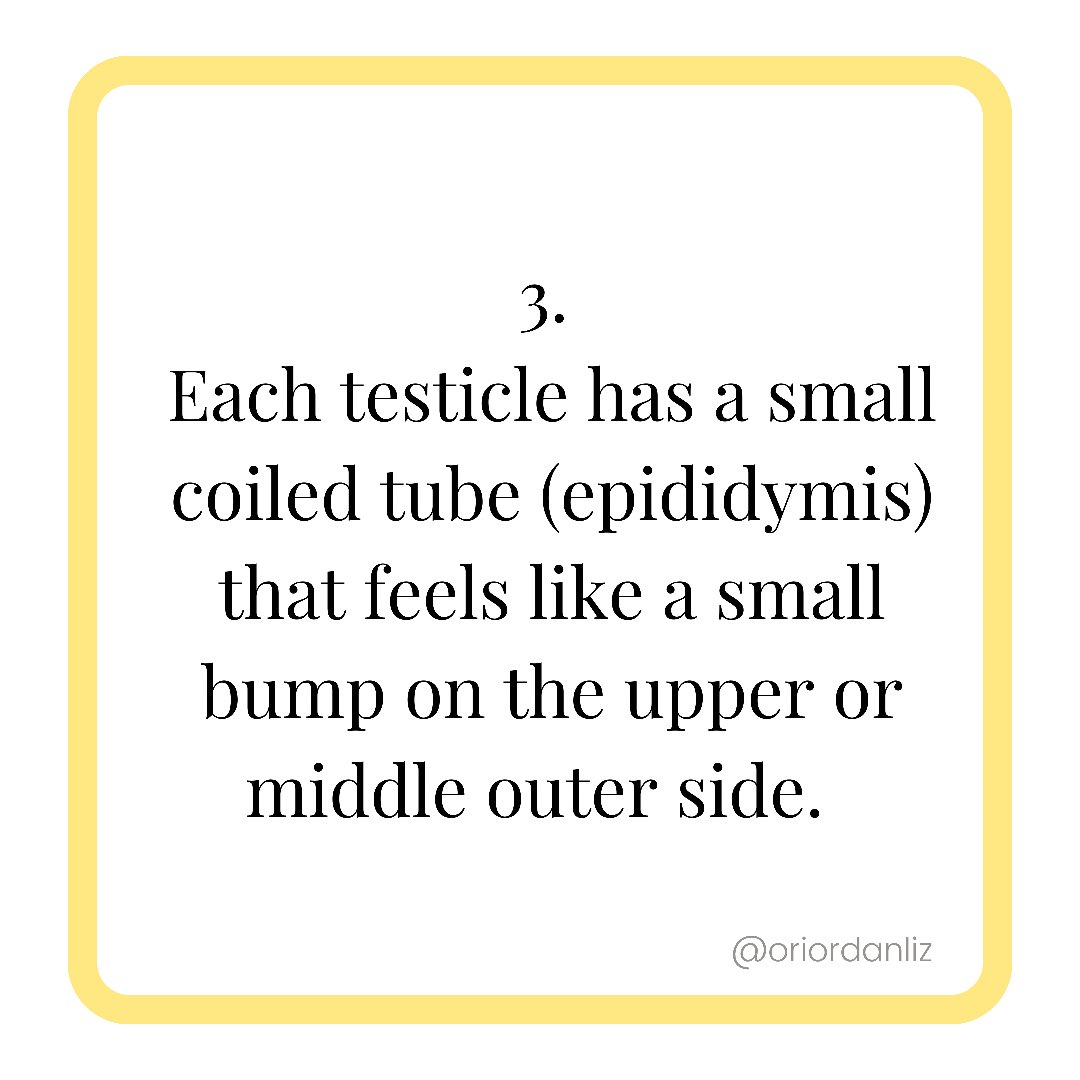 Liz_ORiordan's tweet photo. 👉Did you know testicular cancer is the commonest cancer in 15-35 year olds? 
👉Did you know if it’s caught early then it’s 99% curable?
👉Do you, or does your partner / son / friend know what to do? https://t.co/0bvTzpyc2G