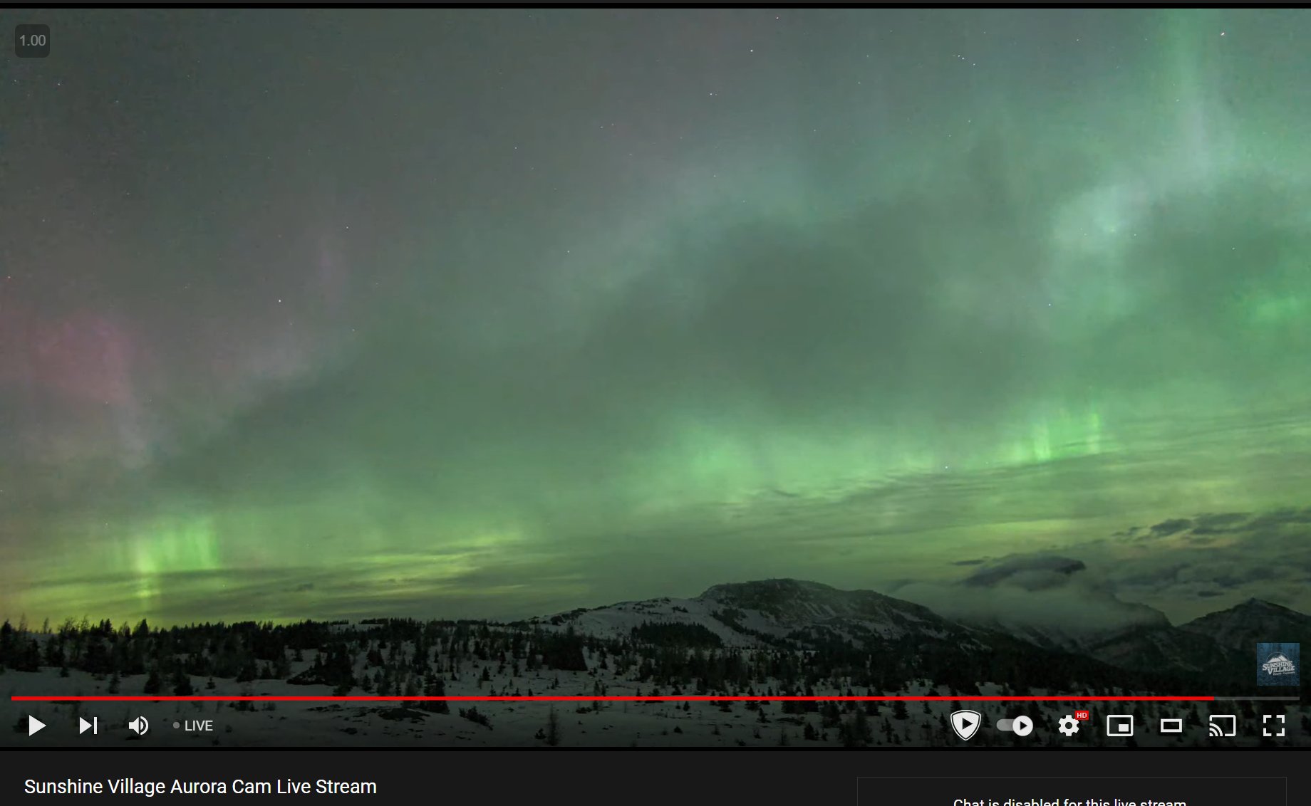 Kevin Z 今晚北美上空极光强度牛逼了 连north Dakota都能看到这样的强度的极光 截图分别是north Dakota和banff的拍极光的webcam Damn Raincouver 这个点还醒着的加拿大盆友 如果当地天气好 开窗看看天也许有惊喜 T Co Hj4rgiizpr