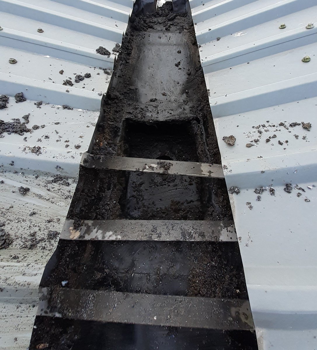 Lcstr_unbugged's tweet photo. Another clearance job for the team.  This time on a warehouse roof.  Gull guano and nesting material blocks drainage galleys and causes flooding.  We have our IPAF  licence so we are trained to use access equipment. https://t.co/TLYaoIfe3u