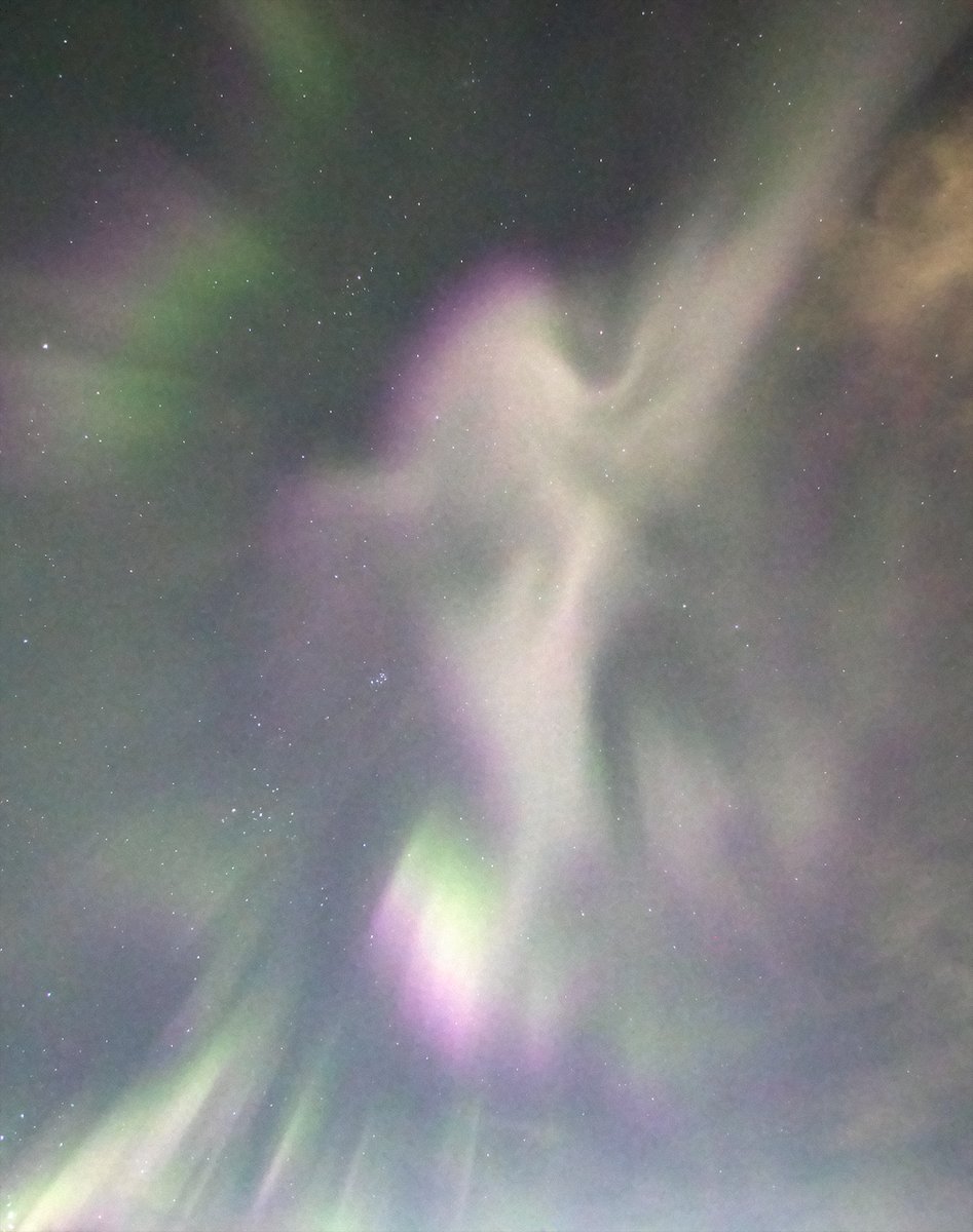 ABfoothillsWX's tweet photo. Impressive burst of #Aurora overhead, south, and north of #RedDeer, #Alberta. Best show I've seen in the city! https://t.co/NZ4TtYVGqj