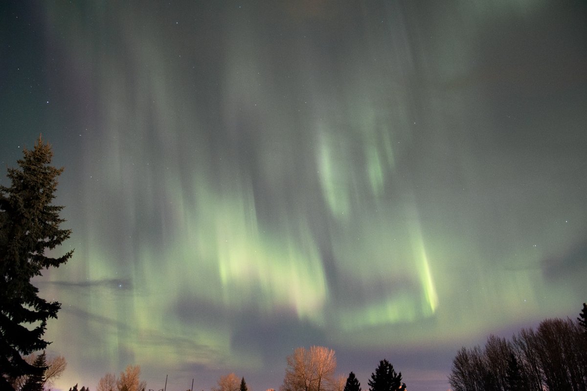 ABfoothillsWX's tweet photo. Impressive burst of #Aurora overhead, south, and north of #RedDeer, #Alberta. Best show I've seen in the city! https://t.co/NZ4TtYVGqj