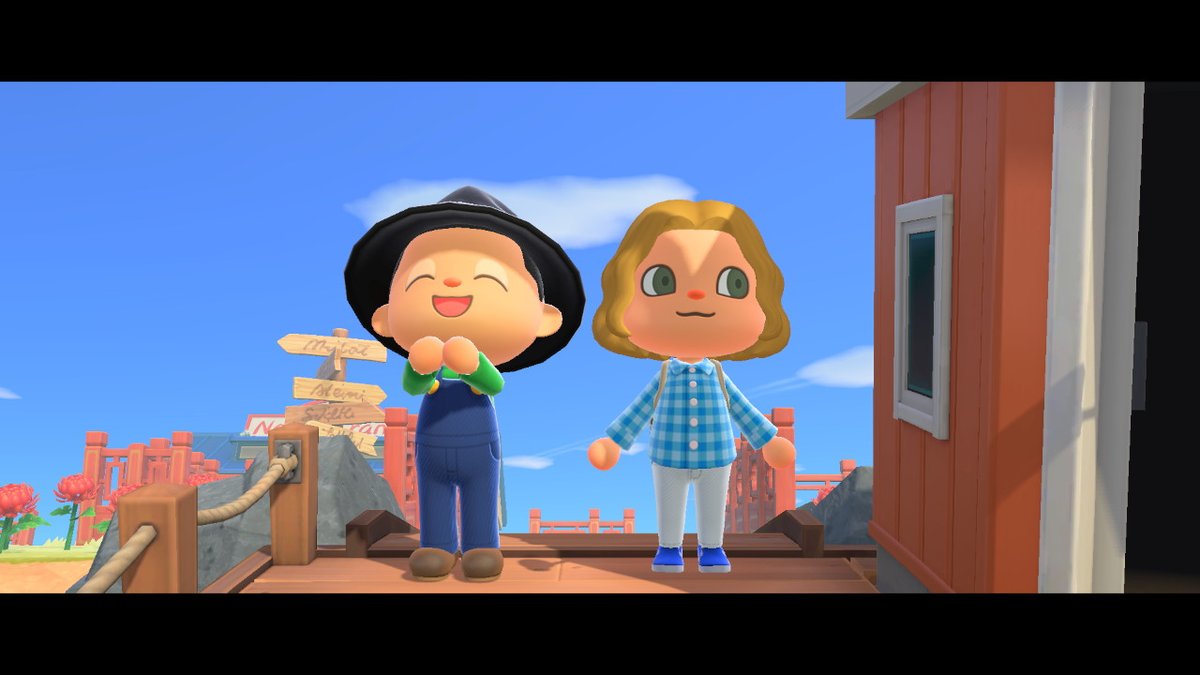 #AnimalCrossing #ACNH #NintendoSwitch