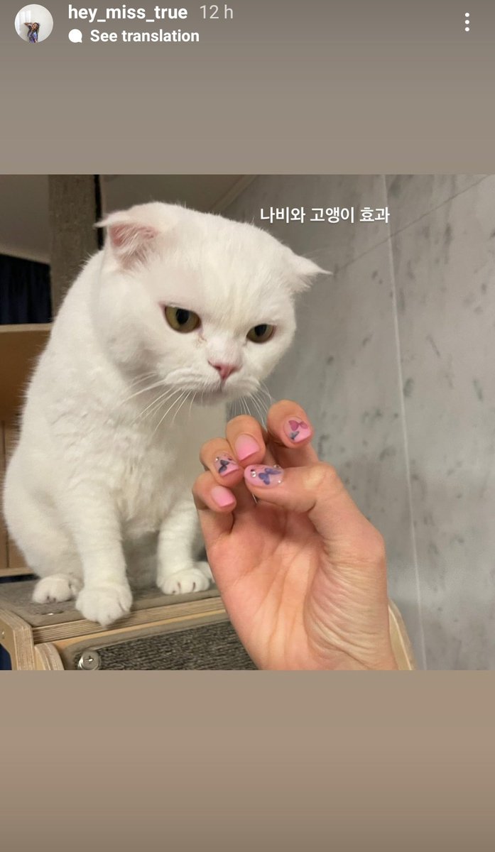 bol4gallery's tweet photo. [ IG STORY ] "Butterfly and cat effect."
ー
[#볼빨간사춘기 #안지영 #赤頬思春期 #bol4] https://t.co/sapAHIyeoi